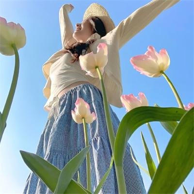 扫荡香粉寮 海报